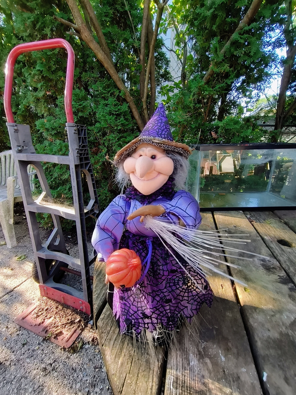 Purple Witch Plush Toy with Pumpkin - Halloween 17 Tall